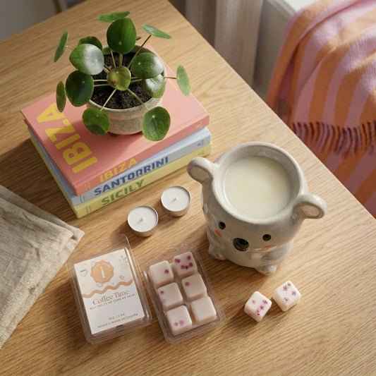 Quemador de Wax Melts de Cerámica | Koala